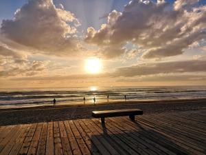 a bench sitting on the beach with the sunset at Eldorado Apartment La Mata in La Mata