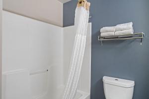 a bathroom with a shower curtain and a toilet at Extended Stay America Suites - Washington, DC - Centreville - Manassas in Centreville