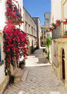 un callejón con flores al lado de un edificio en Villino da Susy, en Otranto 15 fotos más