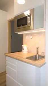 eine Küche mit einer Spüle und einer Mikrowelle in der Unterkunft HU in Prag