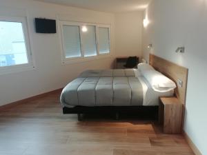 a bedroom with a bed and two windows at PENSIÓN B2bIKAIN HSS00895 in Oiartzun