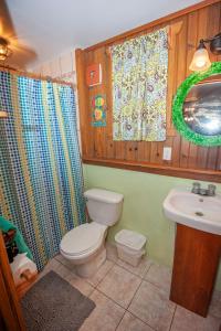 a bathroom with a toilet and a sink at Blue Island Divers Casa Descanso in Sandy Bay