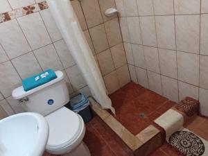a bathroom with a toilet and a sink at Misti Hostel B&B in Arequipa