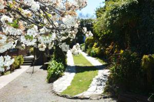 a garden with white flowers on a pathway at Casa c/amplio jardín, garage y parrilla. in Tandil