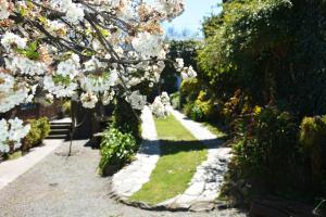 un jardín con flores blancas en un camino en Casa c/amplio jardín, garage y parrilla. en Tandil