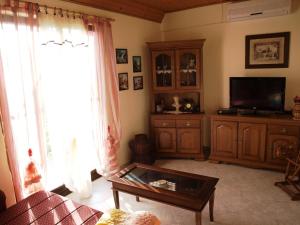 uma sala de estar com um sofá e uma televisão em Apartment Zvonar em Okrug Donji