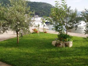 A garden outside Apartments by the sea Blace, Neretva Delta - Usce Neretve - 16068