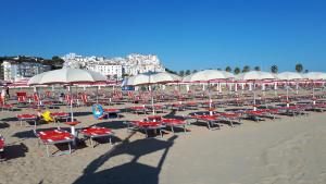 Platja de l'hotel o a prop