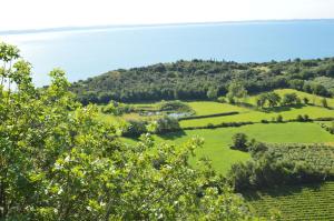an aerial view of a green field and the ocean at Agriturismo La Filanda in Manerba del Garda