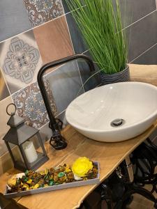 Pedal Apartman Szeged City 6724 Szeged, 1 Londoni körút Földszint 11. kép - 2