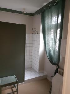 a bathroom with a shower with a green curtain at Le Béguinage in Cour-Cheverny