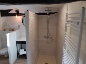 uma casa de banho com um chuveiro e um WC. em Le Béguinage em Cour-Cheverny