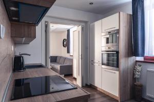 una piccola cucina con piano cottura forno superiore accanto a un divano di TATRYSTAY Tatrahouse Luxury Apartment a Stará Lesná