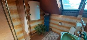 ein Badezimmer mit einem WC und einem grünen Waschbecken in der Unterkunft Vinara Kupres in Kupres