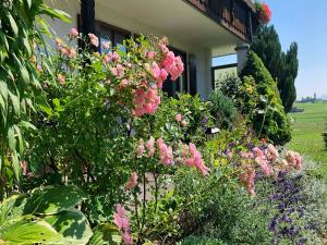 Gallery image of Ferienwohnung im Haus Dorn-Röschen in Pfronten