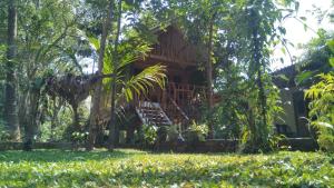 a tree house in the middle of a forest at Shan Home Stay Sigiriya in Sigiriya