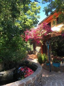 a garden with flowers and a pond in front of a house at Hotel Sant'elene in Dorgali