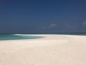 a sandy beach with the ocean in the background at Canopus Retreat Thulusdhoo in Thulusdhoo