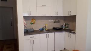 Kuchyň nebo kuchyňský kout v ubytování Apartman Ana