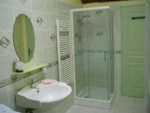 a bathroom with a sink and a glass shower at Les gites de la Planchette in Saint-Gervais-les-Trois-Clochers +27 photos
