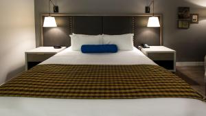 Postel nebo postele na pokoji v ubytování Hotel Indigo Hattiesburg by IHG