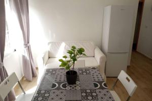 a living room with a table with a plant on it at Apartamentos en Alameda junto al Corte Inglés in Cartagena
