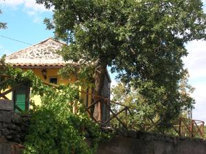 Edificio en el que se encuentra la casa o chalet