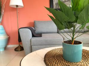 a potted plant sitting on a table in a living room at Irini Apartments in Kavala