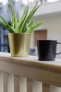 twee koffiekopjes op een leuning met een plant bij Soho Apartments in Athene