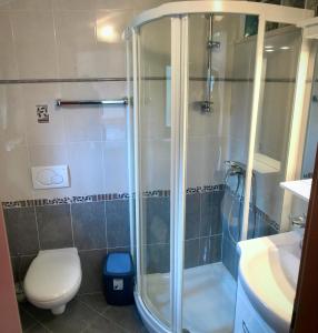 a bathroom with a shower and a toilet and a sink at Todor Seaside Apartments in Lovrečica
