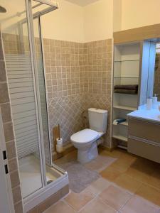 a bathroom with a toilet and a shower and a sink at logement entier vue sur mer in Gourbeyre