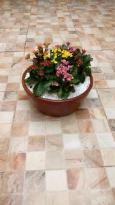 Photo de la galerie de l'établissement Yellowkits, à São Paulo