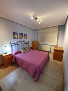 a bedroom with a large bed with a purple blanket at piso de tres dormitorios con garaje y todos los servicios cerca in Burgos