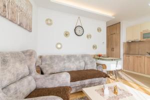 - un salon avec un canapé et une table dans l'établissement apartman PEJNOVIC, à Zlatibor