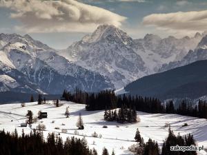 a snow covered mountain range with trees and mountains at Nad Grapą in Gliczarów