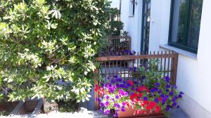 Zahrada ubytování Apartments Suljic - Cash Only Property
