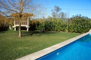 a backyard with a blue swimming pool and a tree at Casa Aido Santo in Pinheiro de Lafões