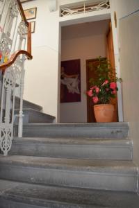 Hotel Dalmazia