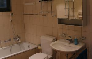 uma casa de banho com um WC, um lavatório e uma banheira em Mountain Suite em Brienz