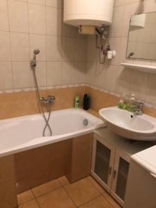 uma casa de banho com uma banheira e um lavatório em Galéria deluxe apartman em Mezőkövesd