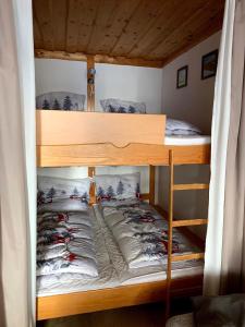 Poschodová posteľ alebo postele v izbe v ubytovaní Alpendomizil A18