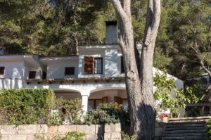 una casa blanca con un árbol delante en Can Botana 3, en Cala de Sant Vicent