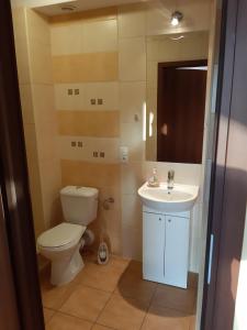 łazienka z toaletą i umywalką w obiekcie Villa ŁĄGI w mieście Bukowiec +29 zdjęć