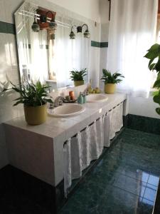 a bathroom with two sinks and two potted plants at Casa Noemi in Sperlonga