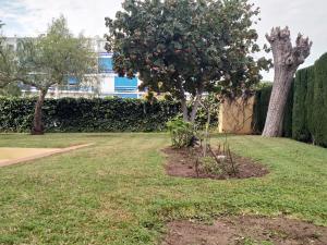 a garden with two trees in the grass at Casa Sardinero in Torremolinos