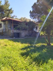 Сад в Casa Natura