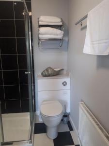 a bathroom with a toilet and a shower and towels at Berry House Bed & Breakfast in Littlehampton