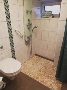 a bathroom with a shower with a toilet at fewoflagmeier Kohlstetten I Alte Backstube in Kohlstetten