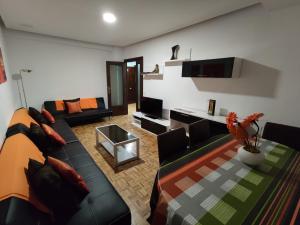 a living room with a couch and a tv at Apartamento Cigüeña in Logroño +7 photos