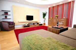 a living room with a bed and a flat screen tv at 6 Apartments in Predeal